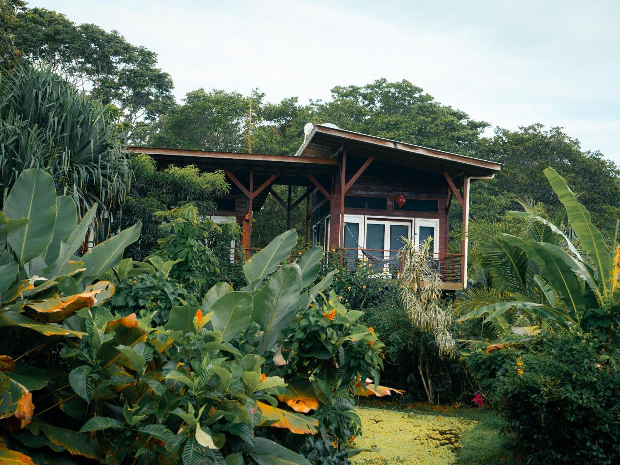 Eclypse De Mar Acqua Lodge Бастиментос Стая снимка